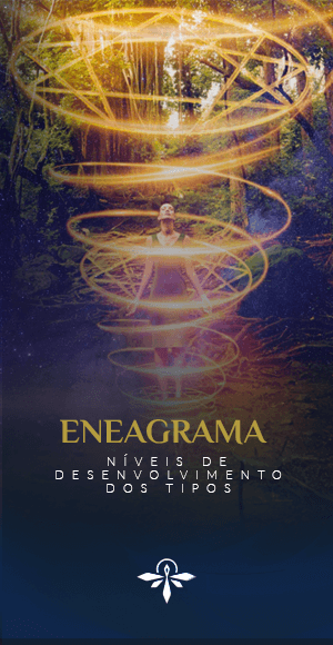 Eneagrama_Niveis